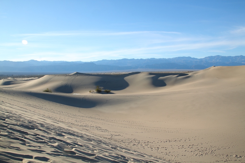Mesquite Dunes